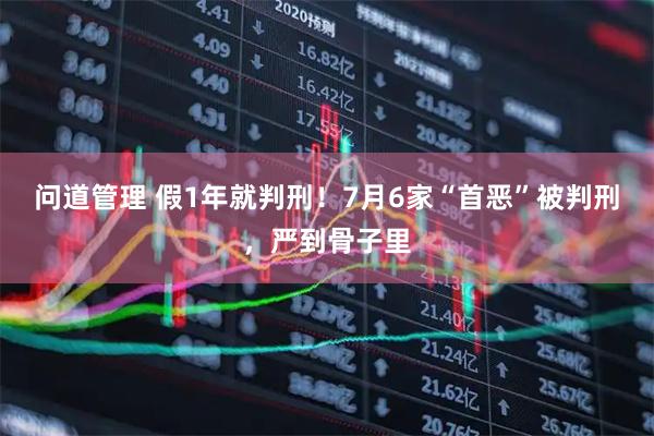 问道管理 假1年就判刑！7月6家“首恶”被判刑，严到骨子里