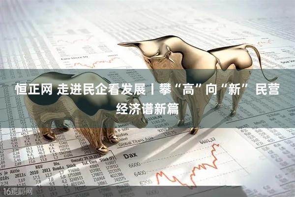 恒正网 走进民企看发展丨攀“高”向“新” 民营经济谱新篇