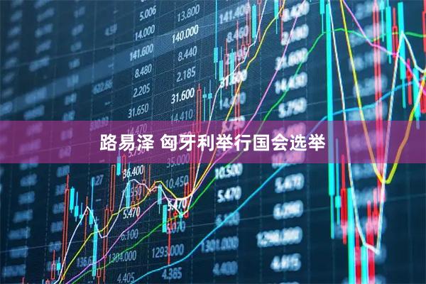 路易泽 匈牙利举行国会选举